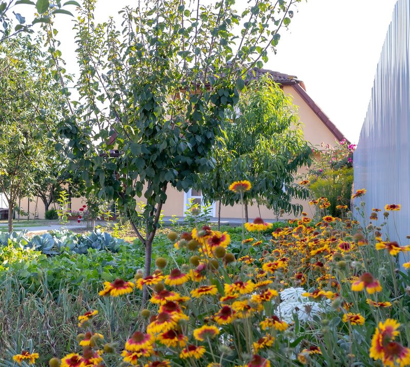 Caminul pentru persoane varstnice Saflora Heim - Mures